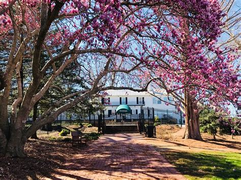Hotels in Clemmons, NC .
